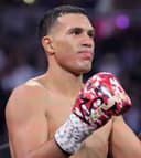 WBC Light Heavyweight