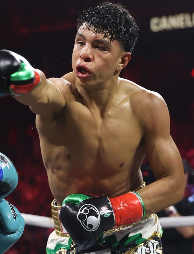 fighter Jaime Munguia image