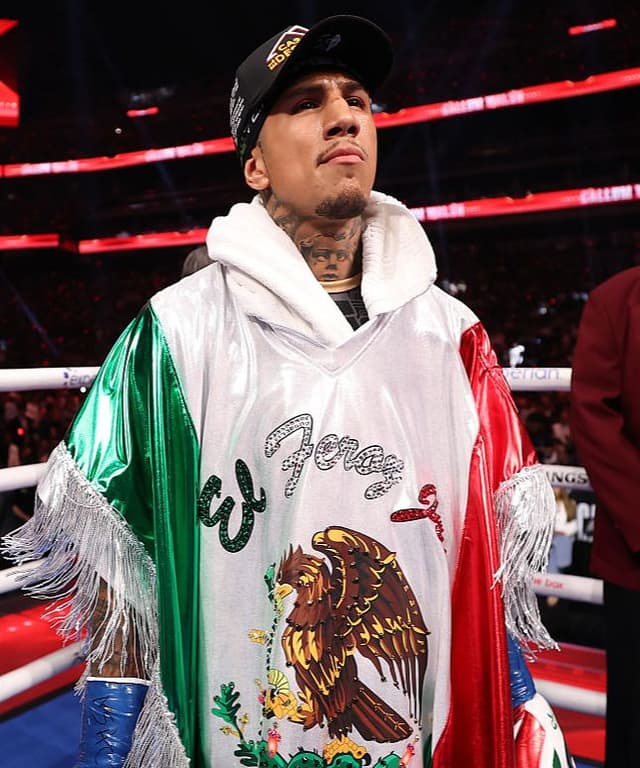 fighter Fernando Vargas image